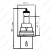 Picture of 1PC White 9004 12V 100W Car Fog Lights Halogen Bulb Headlights Lamp Car Light Source Parking 5000K